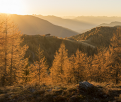 Wandern im Herbst ©Franz Gerdl_MBN Tourismus